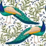 Modelo inconsútil con el pavo real, las flores y las hojas ilustración del vector Modelo inconsútil con el pavo real, las flores y las hojas ilustración del vector