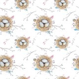 Modelo inconsútil con las jerarquías, wr del vintage floral natural de la acuarela ilustración del vector Modelo inconsútil con las jerarquías, wr del vintage floral natural de la acuarela ilustración del vector