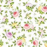 Modelo inconsútil con las rosas y las hojas coloridas del verde Ilustración del vector Imágenes de archivo libres de regalías Modelo inconsútil con las rosas y las hojas coloridas del verde Ilustración del vector Imágenes de archivo libres de regalías