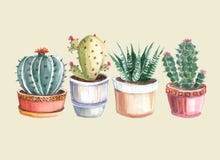 modelo inconsútil de la acuarela de cactus y de succulents watercolor fotografía de archivo modelo inconsútil de la acuarela de cactus y de succulents watercolor fotografía de archivo