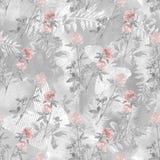 Modelo inconsútil de la acuarela con las ramas y las flores del trébol en un fondo gris claro stock de ilustración Modelo inconsútil de la acuarela con las ramas y las flores del trébol en un fondo gris claro stock de ilustración
