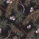 Modelo inconsútil de la Navidad de la acuarela del invierno con las ramas de árbol ilustración del vector Modelo inconsútil de la Navidad de la acuarela del invierno con las ramas de árbol ilustración del vector