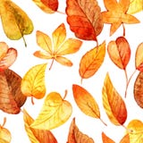 Modelo inconsútil de las hojas de otoño watercolor libre illustration Modelo inconsútil de las hojas de otoño watercolor libre illustration