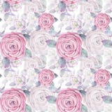 Modelo inconsútil del ejemplo de la acuarela Fondo mezclado de las rosas Papel pintado romántico stock de ilustración Modelo inconsútil del ejemplo de la acuarela Fondo mezclado de las rosas Papel pintado romántico stock de ilustración