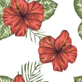 Modelo inconsútil del vector de hojas tropicales verdes con las flores rojas del hibisco libre illustration Modelo inconsútil del vector de hojas tropicales verdes con las flores rojas del hibisco libre illustration