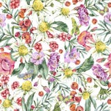 Modelo inconsútil del verano de la acuarela con la manzanilla, bayas, Wildflowers libre illustration Modelo inconsútil del verano de la acuarela con la manzanilla, bayas, Wildflowers libre illustration