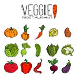 Modelo inconsútil dibujado mano de las verduras Fondo sano del vector de la comida stock de ilustración Modelo inconsútil dibujado mano de las verduras Fondo sano del vector de la comida stock de ilustración