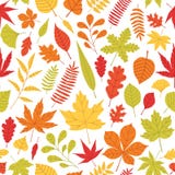 Modelo inconsútil elegante con las hojas de otoño caidas del diversos tipo y color en el fondo blanco Contexto otoñal con libre illustration Modelo inconsútil elegante con las hojas de otoño caidas del diversos tipo y color en el fondo blanco Contexto otoñal con libre illustration