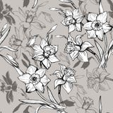 Modelo inconsútil floral monocromático con los narcisos exhaustos de las flores de la mano, narciso libre illustration Modelo inconsútil floral monocromático con los narcisos exhaustos de las flores de la mano, narciso libre illustration