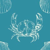 Modelo inconsútil marina Vida de mar Cáscaras y cangrejo dibujados mano de concha de peregrino del ejemplo ilustración del vector Modelo inconsútil marina Vida de mar Cáscaras y cangrejo dibujados mano de concha de peregrino del ejemplo ilustración del vector