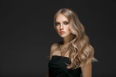 Modelo rubio hermoso Girl de la belleza de la mujer con el ove perfecto del maquillaje imagen de archivo libre de regalías Modelo rubio hermoso Girl de la belleza de la mujer con el ove perfecto del maquillaje imagen de archivo libre de regalías