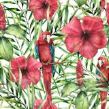 Modelo tropical de la acuarela con el loro Hibiskus pintado a mano con las hojas de palma aisladas en el fondo blanco botánico ilustración del vector Modelo tropical de la acuarela con el loro Hibiskus pintado a mano con las hojas de palma aisladas en el fondo blanco botánico ilustración del vector