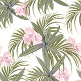 Modelo tropical verde claro libre illustration Modelo tropical verde claro libre illustration