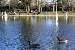Modelzeilboten in een vijver in een park in Parijs Vogelsvlieg, oudersgang met kinderen, ganzen in een vijver stock foto Modelzeilboten in een vijver in een park in Parijs Vogelsvlieg, oudersgang met kinderen, ganzen in een vijver stock foto