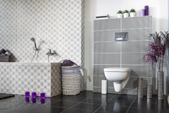Modern Bathroom Black And White Royalty Free Stock Photos Modern Bathroom Black And White Royalty Free Stock Photos