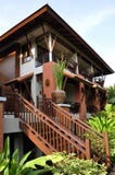 Modern Thai style house set amid magnificent vegetation