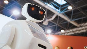 Moderne robotachtige technologieën Een mens communiceert met een robot, drukt een plastic mechanisch wapen aan de robot, handdruk stock videobeelden Moderne robotachtige technologieën Een mens communiceert met een robot, drukt een plastic mechanisch wapen aan de robot, handdruk stock videobeelden