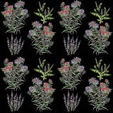 Modèle avec la menthe et d'autres wildflowers photographie stock libre de droits Modèle avec la menthe et d'autres wildflowers photographie stock libre de droits