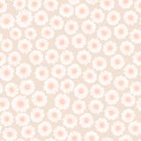 Modèle de fleurs sans couture avec la camomille Fond en pastel doucement clair illustration libre de droits Modèle de fleurs sans couture avec la camomille Fond en pastel doucement clair illustration libre de droits