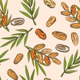 Modèle sans couture avec des fruits et des paumes de date illustration stock Modèle sans couture avec des fruits et des paumes de date illustration stock