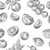 Modèle sans couture avec la tomate, la moitié et la tranche Couleur noire et blanche Illustration tirée par la main de gravure de illustration stock Modèle sans couture avec la tomate, la moitié et la tranche Couleur noire et blanche Illustration tirée par la main de gravure de illustration stock