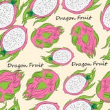 Modèle sans couture avec le fruit lumineux pithay illustration libre de droits Modèle sans couture avec le fruit lumineux pithay illustration libre de droits
