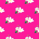 Modèle sans couture avec les branches se développantes de la cerise Fleurs blanches et bourgeons sur un fond rose Fond floral de illustration de vecteur Modèle sans couture avec les branches se développantes de la cerise Fleurs blanches et bourgeons sur un fond rose Fond floral de illustration de vecteur