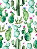 Modèle sans couture avec les plantes peintes à la main de haute qualité de cactus d'aquarelle et les fleurs pourpres illustration stock Modèle sans couture avec les plantes peintes à la main de haute qualité de cactus d'aquarelle et les fleurs pourpres illustration stock