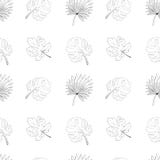 Modèle sans couture de feuilles tropicales Figue, monstera, paume illustration stock Modèle sans couture de feuilles tropicales Figue, monstera, paume illustration stock