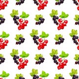 Modèle sans couture des groupes de baies de groseille rouge et de smrodina noir sur une branche dans le bas poly style sur un fon illustration stock Modèle sans couture des groupes de baies de groseille rouge et de smrodina noir sur une branche dans le bas poly style sur un fon illustration stock