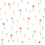 Modèle sans couture floral d'aquarelle Tulipes Illustration de vecteur Beau fond Photographie stock libre de droits Modèle sans couture floral d'aquarelle Tulipes Illustration de vecteur Beau fond Photographie stock libre de droits