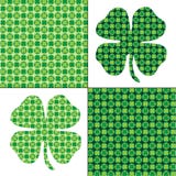 Modèles verts d'oxalide petite oseille illustration libre de droits Modèles verts d'oxalide petite oseille illustration libre de droits