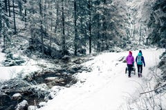 Moeder met babywandelwagen die van moederschap in de winterbos genieten stock fotografie Moeder met babywandelwagen die van moederschap in de winterbos genieten stock fotografie