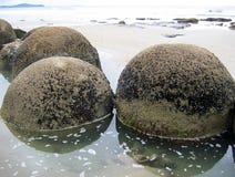Moeraki Boulders Close Up Royalty Free Stock Images Moeraki Boulders Close Up Royalty Free Stock Images