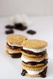 Moeurs faites maison de ` de la guimauve s avec du chocolat sur des biscuits sur un fond blanc photographie stock Moeurs faites maison de ` de la guimauve s avec du chocolat sur des biscuits sur un fond blanc photographie stock