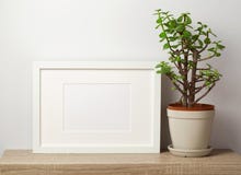 Mofa blanca del marco para arriba con la planta imagenes de archivo Mofa blanca del marco para arriba con la planta imagenes de archivo