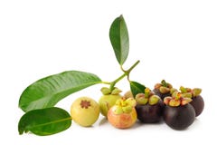 Mogen och ung mangosteen på vit Arkivbild Mogen och ung mangosteen på vit Arkivbild