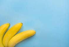 Mogna färgrika gula bananer på Bue bakgrund Utrymme för gränsramkopia för text Sunt banta den tropiska fibernäringstrikt vegetari fotografering för bildbyråer Mogna färgrika gula bananer på Bue bakgrund Utrymme för gränsramkopia för text Sunt banta den tropiska fibernäringstrikt vegetari fotografering för bildbyråer