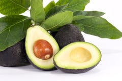 Moitiés d'avocat Moitiés d'avocat