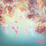 Mola Cherry Blossom Background ilustração stock Mola Cherry Blossom Background ilustração stock