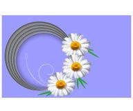 Molde horizontal do cartão com ilustração do vetor da flor da margarida ilustração stock Molde horizontal do cartão com ilustração do vetor da flor da margarida ilustração stock