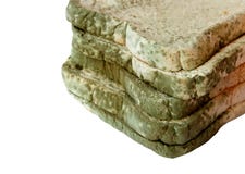 Moldy στο ψωμί στο άσπρο υπόβαθρο, μη φαγώσιμα τρόφιμα και στοκ φωτογραφία με δικαίωμα ελεύθερης χρήσης Moldy στο ψωμί στο άσπρο υπόβαθρο, μη φαγώσιμα τρόφιμα και στοκ φωτογραφία με δικαίωμα ελεύθερης χρήσης