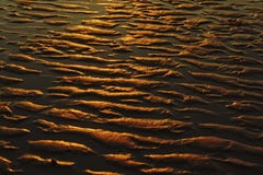 Molhe a areia rippled na luz solar da noite fotografia de stock Molhe a areia rippled na luz solar da noite fotografia de stock