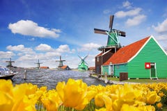 Molino de viento holandés tradicional con los tulipanes en Zaanse Schans, área de Amsterdam, Holanda Fotografía de archivo libre de regalías Molino de viento holandés tradicional con los tulipanes en Zaanse Schans, área de Amsterdam, Holanda Fotografía de archivo libre de regalías