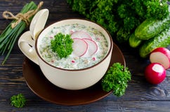Molla russa e minestra fredda di estate con kefir fotografia stock Molla russa e minestra fredda di estate con kefir fotografia stock
