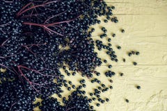 Molti interessanti viola maturi freschi delle bacche di sambuco nere disposti sul vecchio fondo giallo grigio rustico della tavol fotografia stock Molti interessanti viola maturi freschi delle bacche di sambuco nere disposti sul vecchio fondo giallo grigio rustico della tavol fotografia stock