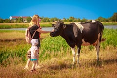 Mom and the children are stroking the cow stock photos Mom and the children are stroking the cow stock photos