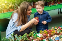 Mom and her baby boy in a plant shop looking at cacti. Gardening In Greenhouse. Botanical garden, flower farming stock photography Mom and her baby boy in a plant shop looking at cacti. Gardening In Greenhouse. Botanical garden, flower farming stock photography