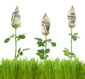 Money Concept Stock Image Money Concept Stock Image