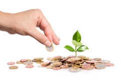Money and plant with hand finance new business royalty free stock images Money and plant with hand finance new business royalty free stock images
